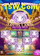 Experiência VIP 55C