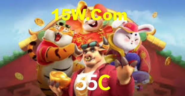 55C App Interface